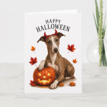 Whippet Halloween Djävulshund