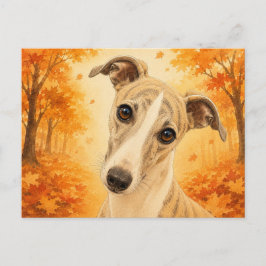 Whippet Höst Skog Hund Vykort