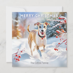 Whippet Hund Går i Snö Glad Jul Julkort