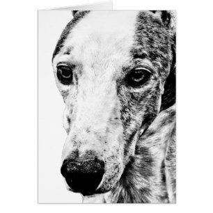 Whippet hund hälsningskort