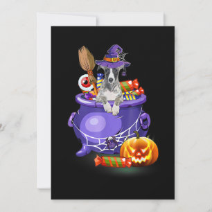 Whippet Hund Med Häxhatt Godis Pumpa Halloween Julkort