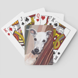 Whippet hundkonst som leker kort casinokort