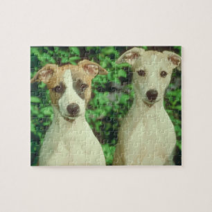 Whippet hundTin och pussel
