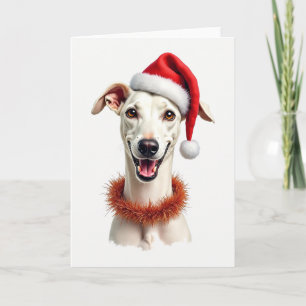 Whippet i en tomteluva julkort kort