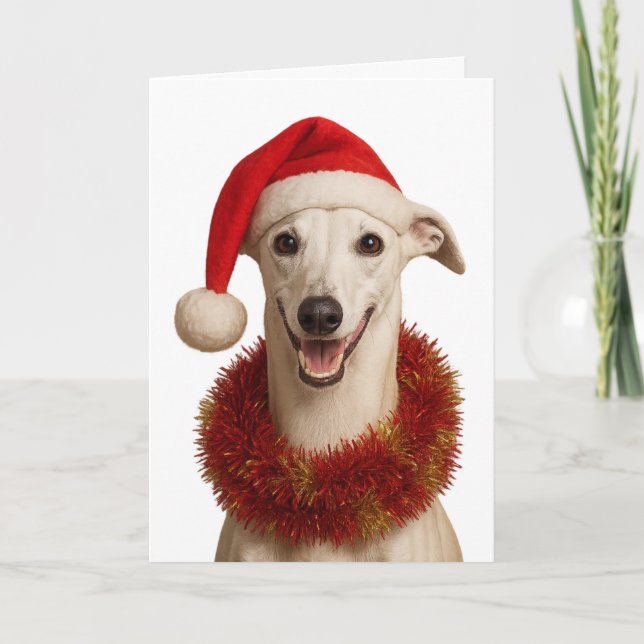 Whippet in a Santa hat Christmas greetings card Kort (Framsida)