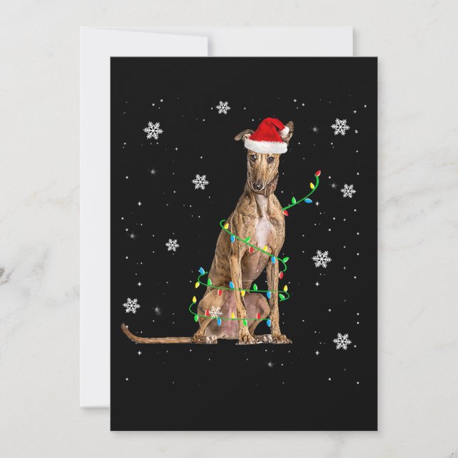 Whippet julbelysning söt tomte Whippet Xmas Julkort (Framsida)