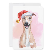 Whippet julkort – Whippet med jultomtehatt
