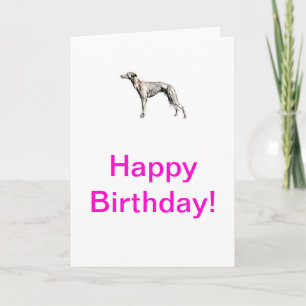 Whippet Kort