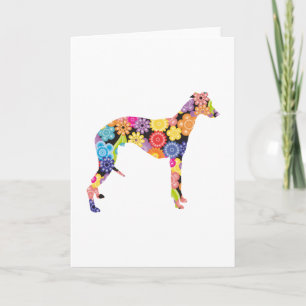 Whippet Kort