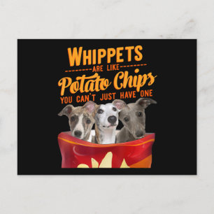 Whippet Och Potatischips Rolig Hund Mamma Pappa Vykort