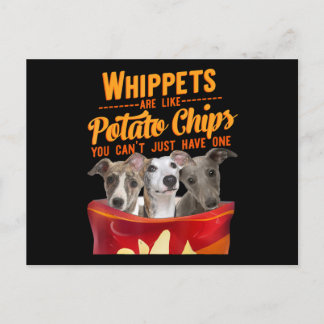 Whippet Och Potatischips Rolig Hund Mamma Pappa Vykort