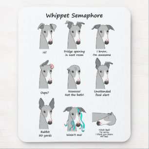 Whippet Semaphore Musmatta