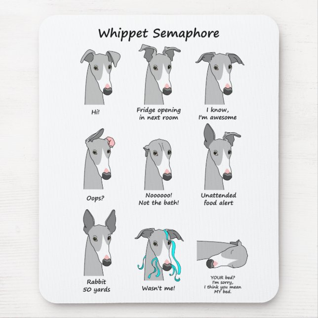 Whippet Semaphore Musmatta (Framsidan)