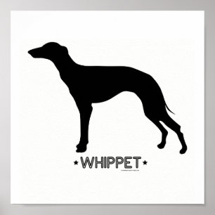 Whippet tryck