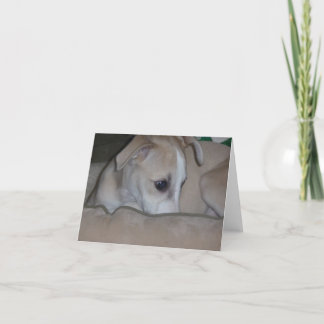 Whippet valpnotecard kort
