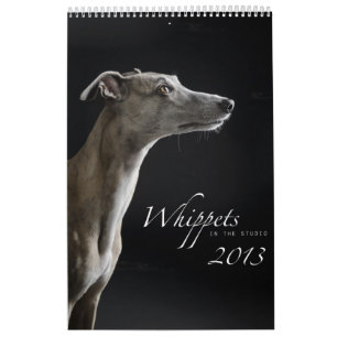 Whippets i studion 2013 kalender