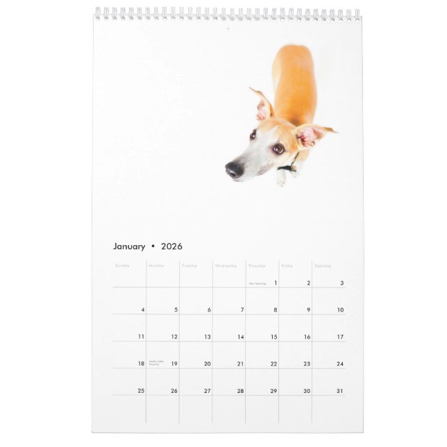 Whippets i studion 2013 kalender (Jan 2026)