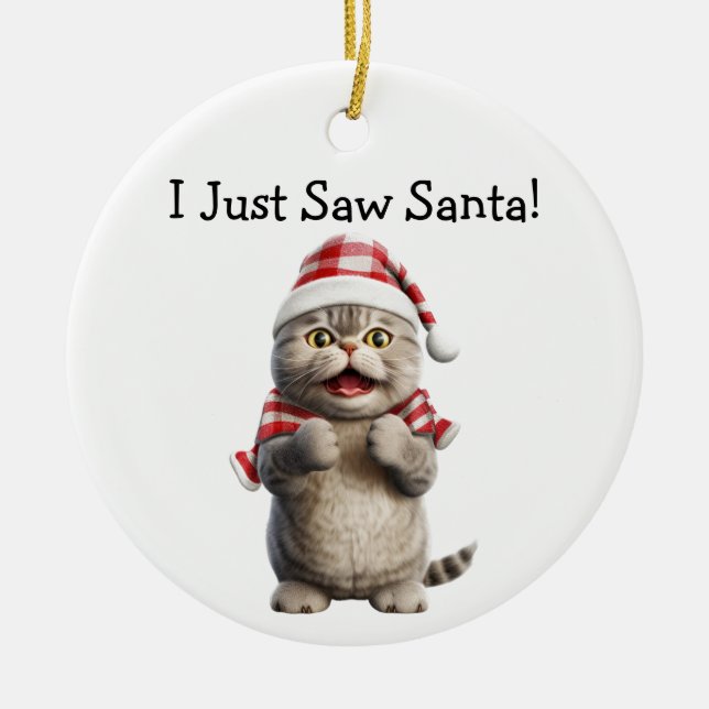 Whiskers and Winter Cheer Cat Ornament (Framsidan)