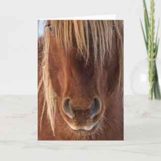 "Whiskers"-anteckningskort Kort