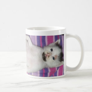 whiskers Benjamin knäppas muggen Kaffemugg