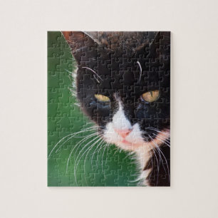 Whiskers - Cat Jigszle Puzzle - 8x10 - 100 pc Pussel