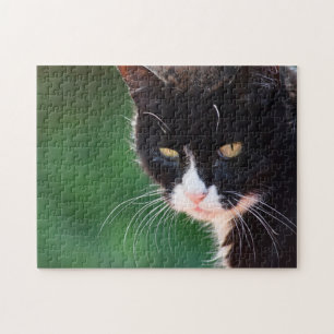 Whiskers - Cat Puzzle Pussel