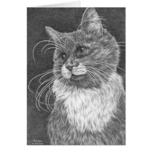 Whiskers Cat Teckning av Kelli Svan OBS Kort
