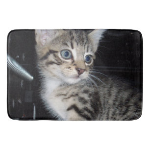 "Whiskers of Trouble: The Mischievous Tabby Kitten Badrumsmatta