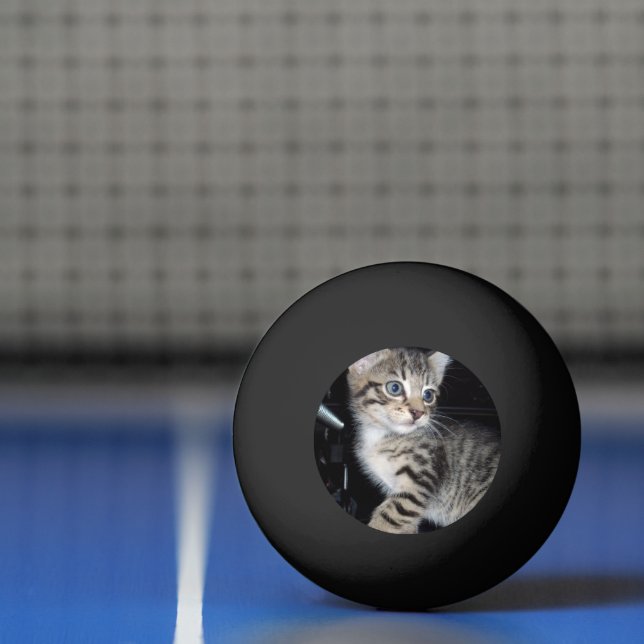 "Whiskers of Trouble: The Mischievous Tabby Kitten Pingisboll (Netto)