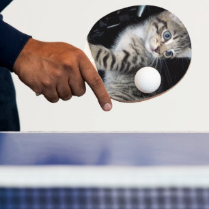 "Whiskers of Trouble: The Mischievous Tabby Kitten Pingisracket