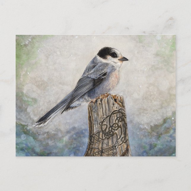 Whiskey Jack Post Card Vykort (Framsida)