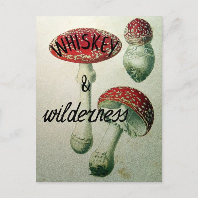 Whiskey- & vildmarkgiftsvamp vykort (Framsida)