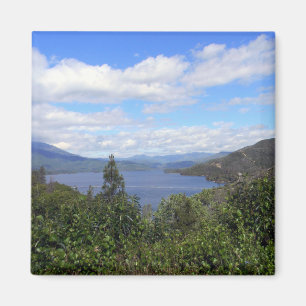 Whiskeytown Sjö... Magnet