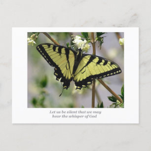 Whisper Butterfly Vykort