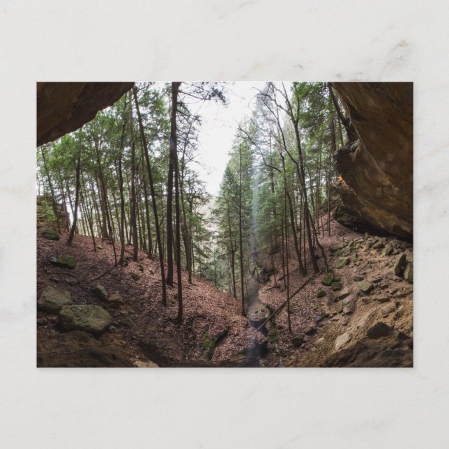 Whispering Cave, Hocking Backe SP, Ohio Vykort (Framsida)