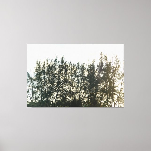 Whispering Pines of Taquari Canvastryck (Framsida)