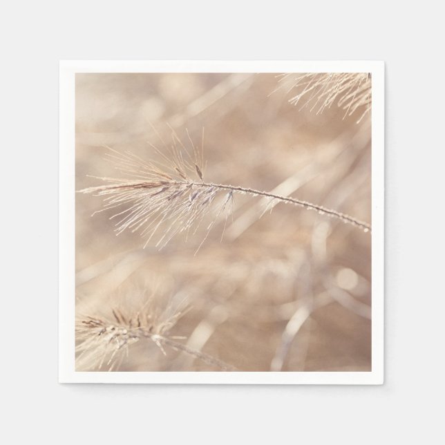 "Whispers of Nature's Beauty" Pappersservett (Framsidan)