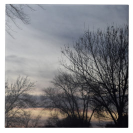 Whispers of Winter  Kakelplatta