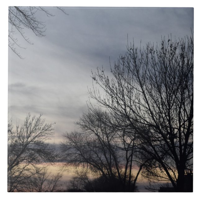 Whispers of Winter  Kakelplatta (Framsidan)