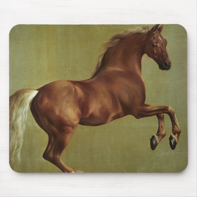 Whistlejacket 1762 musmatta (Framsidan)