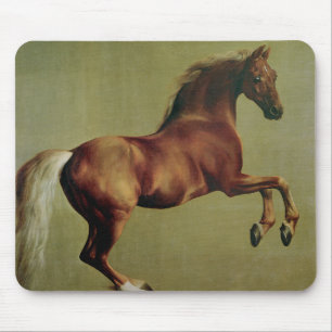 Whistlejacket av George Stubbs Musmatta