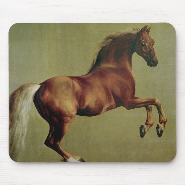 Whistlejacket av George Stubbs Musmatta (Framsidan)