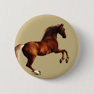 Whistlejacket-hästen av George Stubbs Knapp