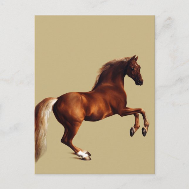 Whistlejacket horse by George Stubbs Vykort (Framsida)