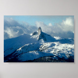 Whistler beskådar poster