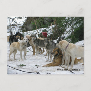 Whistler, Kanada Vykort