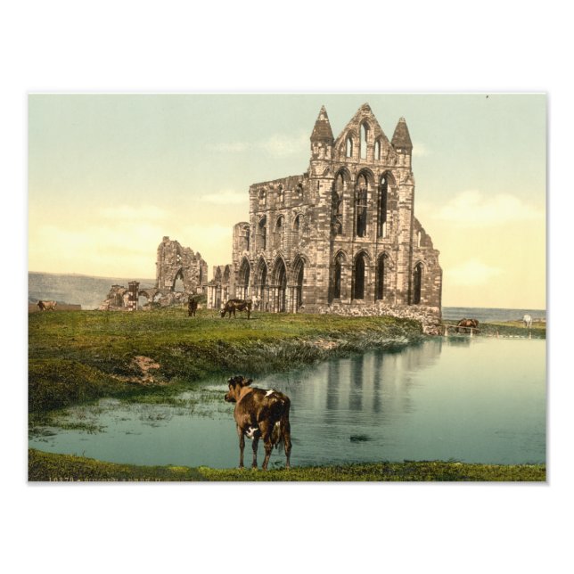 Whitby Abbey II, Whitby, Yorkshire, England Fototryck (Framsidan)