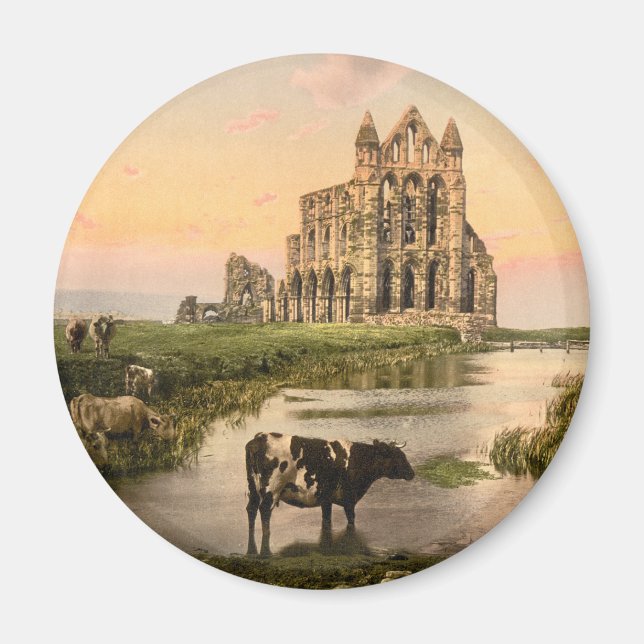 Whitby Abbey III, Whitby, Yorkshire, England Magnet (Framsidan)