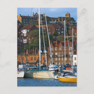 Whitby Abbey Postcard Vykort