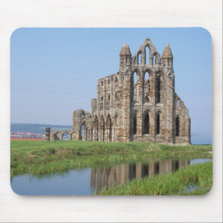 Whitby AbbeyWhitby norr Yorkshire England Musmatta